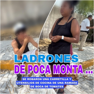 Ladrones de poca monta fueron detenidos con las manos en la masa; robaron en Boca de Tomates