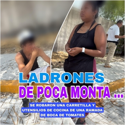 Ladrones de poca monta fueron detenidos con las manos en la masa; robaron en Boca de Tomates