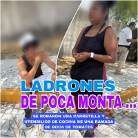 Ladrones de poca monta fueron detenidos con las manos en la masa; robaron en Boca de Tomates