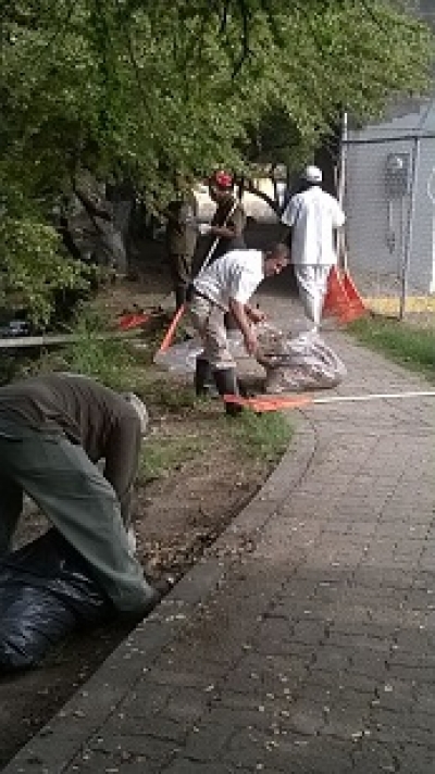 Avanza el programa de Saneamiento de Cuerpos de Agua