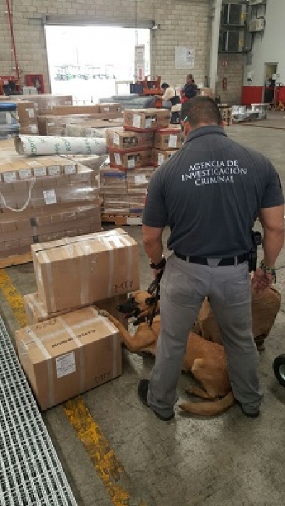 Enviaban 18 kilos de mota a Monterrey