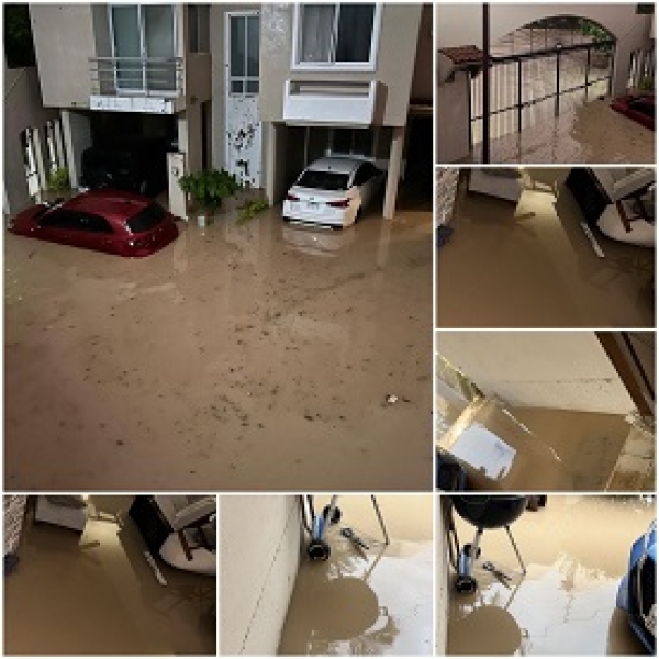 Familias de cotos aledaños a la avenida Las Palmas lo perdieron todo; el agua llegó hasta la azotea en casas de un piso