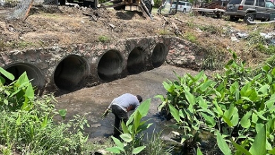 Gobierno del Bien refuerza trabajos de desazolve en la vena del Río Pitillal