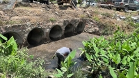 Gobierno del Bien refuerza trabajos de desazolve en la vena del Río Pitillal