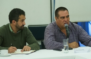 Avances históricos en materia de conurbación: Dávalos Peña