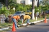 Realizan trabajos de limpieza y remozamiento de la avenida de ingreso