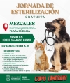 Gobierno de Bahía de Banderas invita a jornada gratuita de esterilización