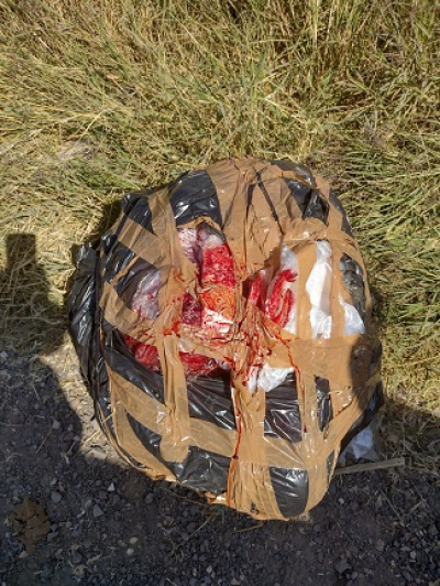 Hallan dos muertos dentro de bolsas plásticas en San Martín de las Flores