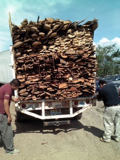 Transportaba madera ilegal