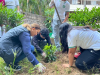 Participa la secundaria Federal 84 en Jornada de Limpieza y Reforestación ‘Transformando Vallarta’