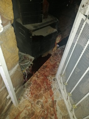 Le hicieron una llamada al celular y después lo mataron a tiros