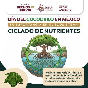 Proteger al Cocodrilo es proteger nuestros ecosistemas