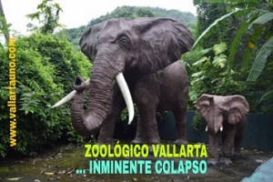 Zoológico Vallarta en la quiebra y a punto de colapsar… con animales descuidados, famélicos y hambreados