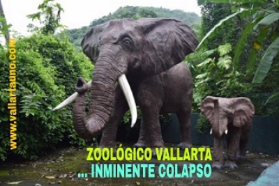Zoológico Vallarta en la quiebra y a punto de colapsar… con animales descuidados, famélicos y hambreados