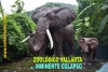 Zoológico Vallarta en la quiebra y a punto de colapsar… con animales descuidados, famélicos y hambreados