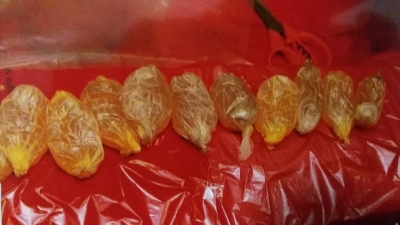 Mujer panameña traía casi dos kilos de cocaína dentro de su cuerpo; fue detenida en el aeropuerto