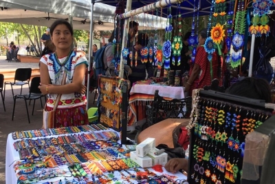 Participa DIF Vallarta en el festival de Pueblos Originarios