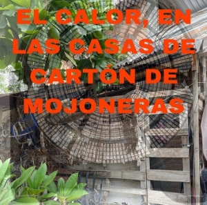 Cómo sobreviven al calor las familias más humildes de Mojoneras… en casas de láminas y cartón