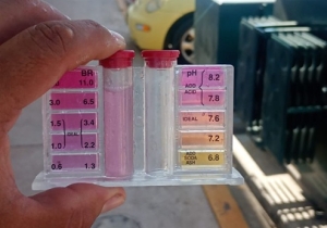 Mejora histórica en la calidad del agua en Bahía de Banderas