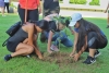 Suman esfuerzos por un Bahía Verde