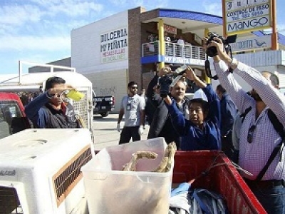 Clausuran cinco restaurantes en Tijuana por vender carne de perro