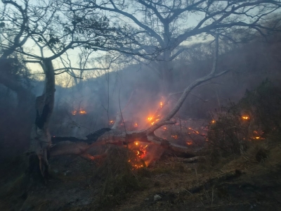 Incendio en La Cruz de Huanacaxtle se encuentra Controlado: Lucero Rodríguez