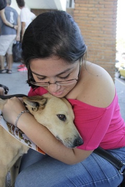 Esterilizadas