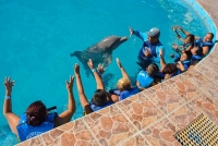 Niños de escasos recursos viven la experiencia con delfines