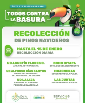 Habilitan centros de acopio para pinos navideños en Puerto Vallarta