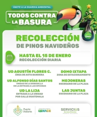 Habilitan centros de acopio para pinos navideños en Puerto Vallarta