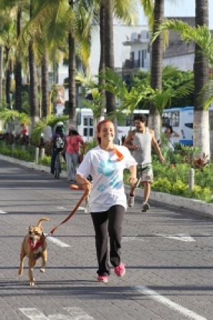 Le apuestan a la adopción y esterilización de mascotas