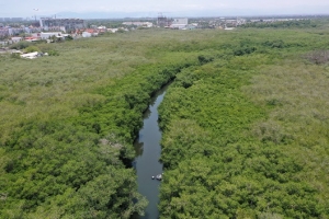 “El Proceso del Estero “El Salado” Fue Gratificante”: Doctor Jorge Téllez