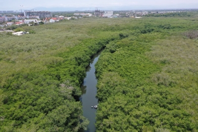 “El Proceso del Estero “El Salado” Fue Gratificante”: Doctor Jorge Téllez