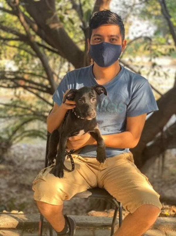 Exitosa respuesta a la campaña de esterilización de mascotas