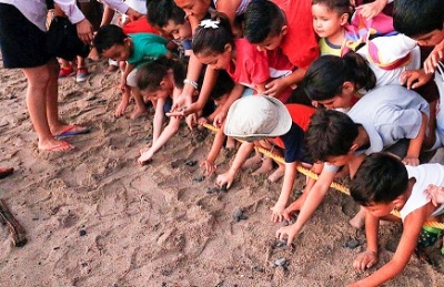 Pequeños del PAID participan en liberación de tortugas marinas