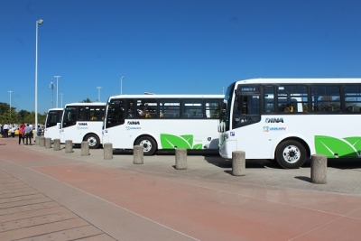 Llega UNIBUS:  El Transporte que Puerto Vallarta Anhelaba