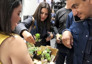 Reconocen a Jalisco con máxima calificación crediticia por parte de PCR Verum