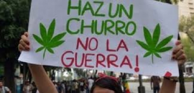 La legalización de la mota en Jalisco