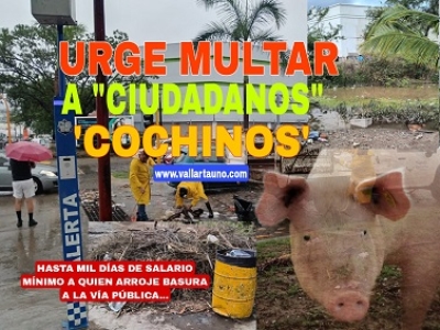 Urge sancionar a ciudadanos ‘cochinos’; la tormenta dejó al descubierto toneladas de basura arrojadas a la vía pública