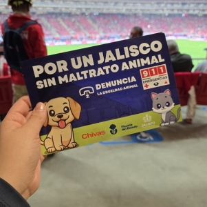 Fiscalía y club Chivas lanzan campaña permanente "Por un Jalisco sin maltrato animal"