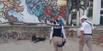 Reportan patrullaje de vigilancia y protección...
