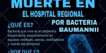 “Bacteria Baumannii” en el Hospital Regional;...